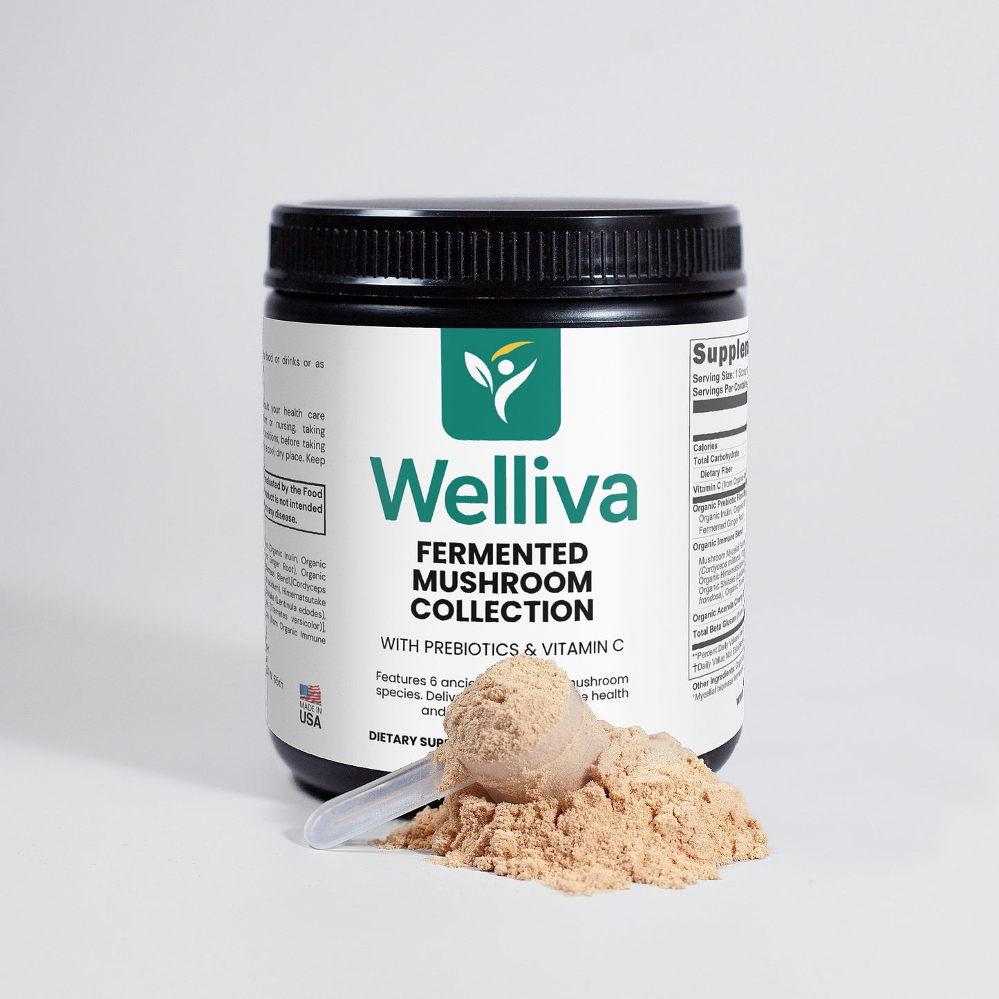 Fermented Mushroom Collection