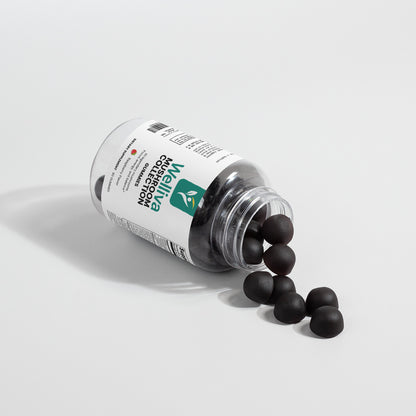 Mushroom Collection Gummies (Adult)