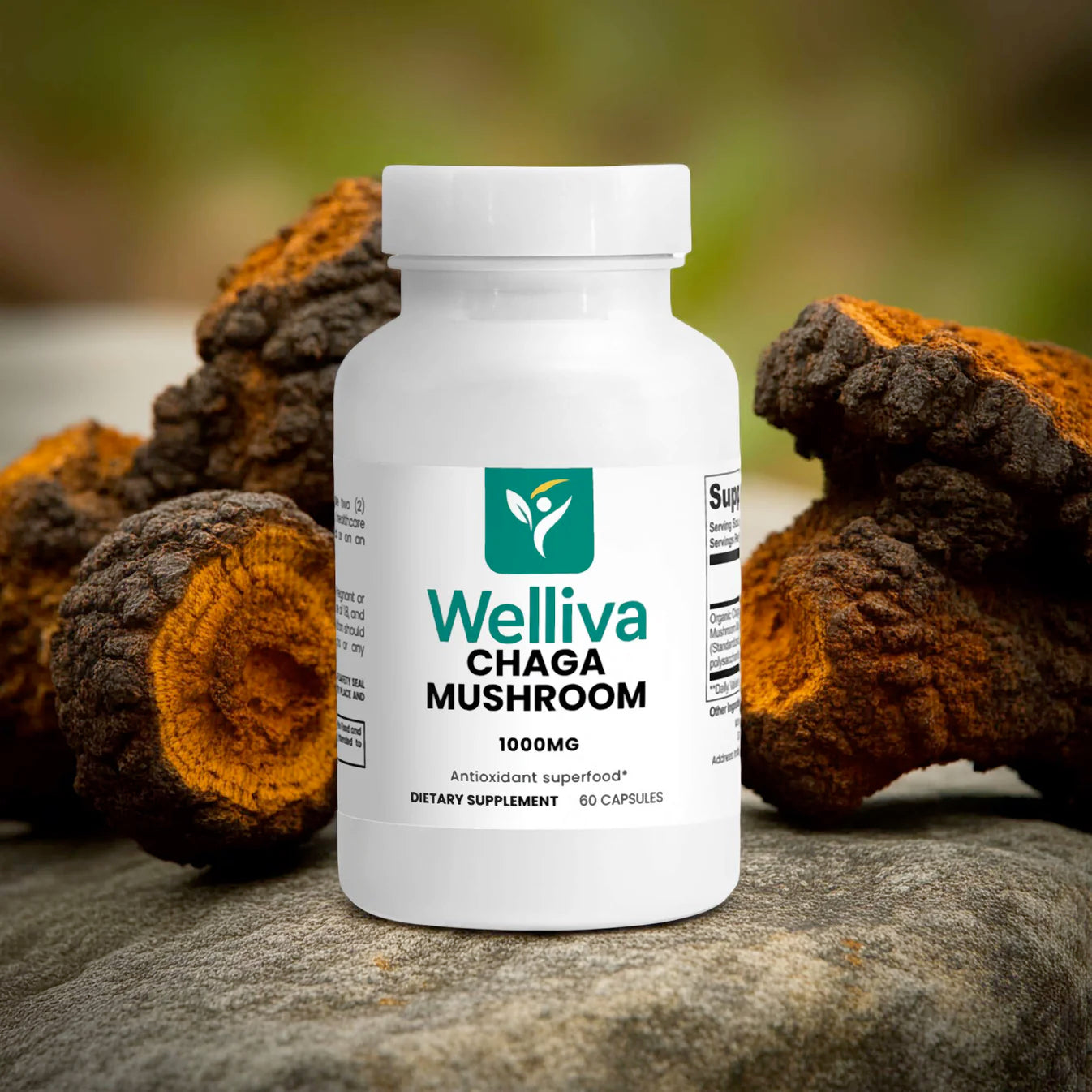 Chaga Mushroom