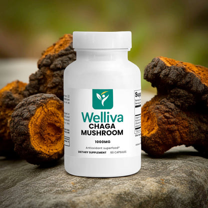 Chaga Mushroom