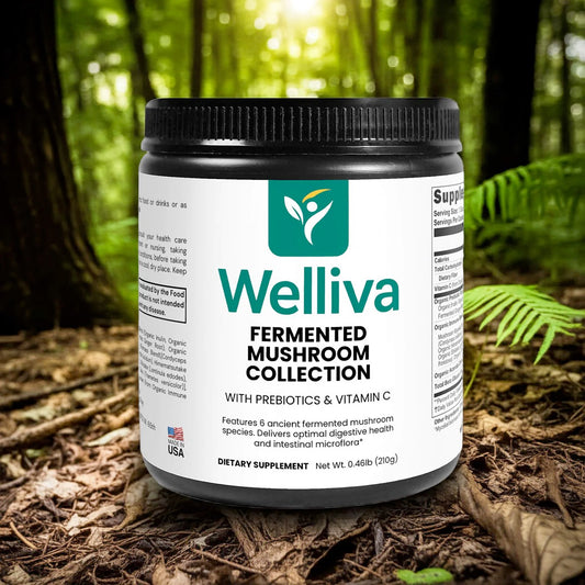 Fermented Mushroom Collection